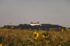 cropped-IMG_0137