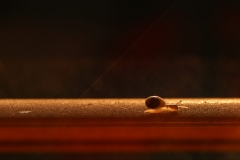 cropped-IMG_0512