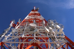 cropped-IMG_0565-1