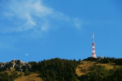 cropped-IMG_0637_2