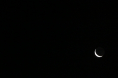 cropped-IMG_2034-2