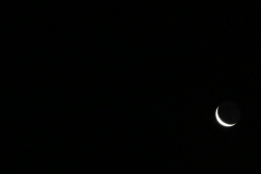 cropped-IMG_2034