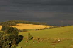 cropped-IMG_4161