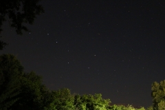 cropped-IMG_4285